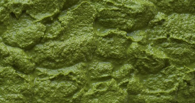 A freshly made arugula pesto. Background texture. Camera slide.