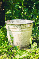 Old metal bucket on grass with surrounding greenery