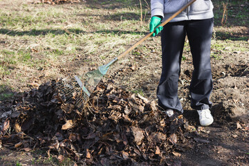 Person raking leaves in a garden during autumn cleanup.