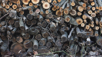 Stacked firewood logs creating a rustic natural background.