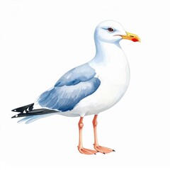 Naklejka premium Watercolor Painting of a Seagull