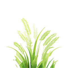 Fototapeta premium Illustration of Wheat Stalks with Green and Yellow Tones