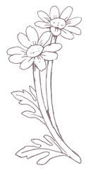 花のスケッチ素材。ベクターイラスト素材。