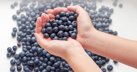 Close up of hands holding blueberry.