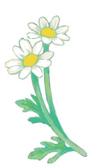 花のスケッチ素材。ベクターイラスト素材。