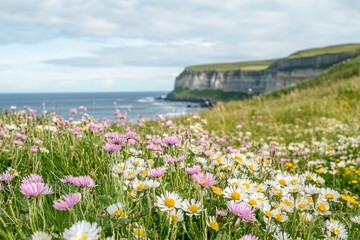 Ocean Cliffs with Wildflowers in the Foreground