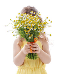Cute little girl with bouquet of beautiful chamomile flowers on white background