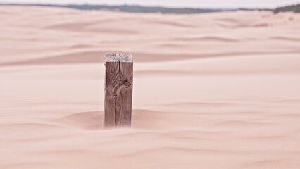 Nomadic Camel Trail Marker Wooden Pole Buried in Sand at Desert Dune with Scenic Landscape Distant River Bank Seashore and Oasis Trees