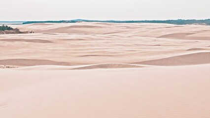 Desert Landscape with Distant River Bank Seashore or Oasis Trees at Polish National Park of Sand Dunes