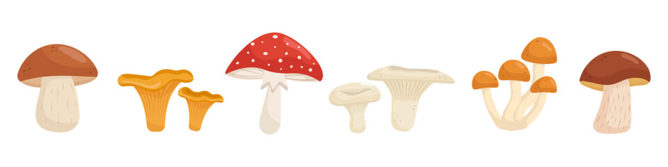 Fall forest mushrooms clipart set. Hand drawn autumn fungi collection, chanterelles, porcini, amanita. Botanical illustration for seasonal design. © Vita