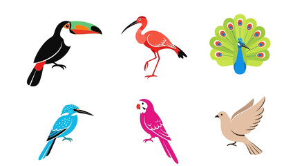 Vector illustration of colorful exotic birds toucan ibis peacock kingfisher parrot dove vector drawing design art