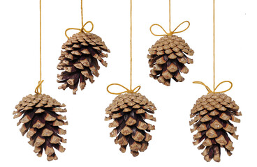 Christmas decoration, Scots pine cones (Pinus sylvestris), open, hanging and isolated on white background