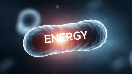 Graphic illustration representing body energy metabolism, showing processes of burning calories and generating energy. - Powered by Adobe