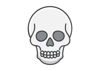 Fototapeta premium A human skull Vector, skull Icon Illustration