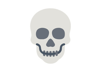 A human skull Vector, skull Icon Illustration