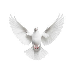 A majestic white dove with wings spread wide in flight symbolizing peace hope and freedom isolated on transparent background