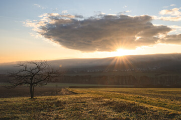 Goldener Sonnenaufgang – wärmendes Licht am Morgenhimmel aufgenommen in Neu-Anspach im Hochtaunuskreis, Hessen – eine stimmungsvolle Landschaftsaufnahme aus Deutschland / Germany

