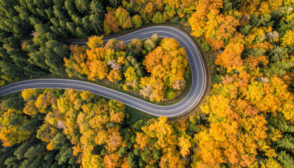 Aerial drone shot of a winding road through autumn-colored forest