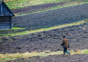 Man walks with dog in plowed field near rustic cabin during early morning light in rural landscape