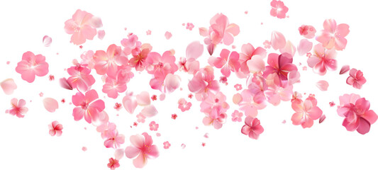Delicate light pink sakura flowers flow. Wind swirls