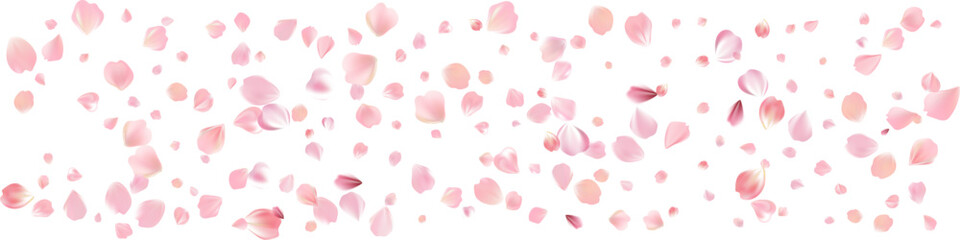 Delicate light pink sakura flowers flow. Wind swirls