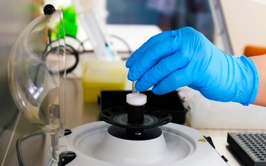 A researcher in a lab uses a centrifuge to spin samples for analysis, wearing protective gloves to...