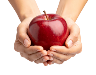 Closeup of Hands Holding Shiny Red Apple Isolated on Transparent Background PNG