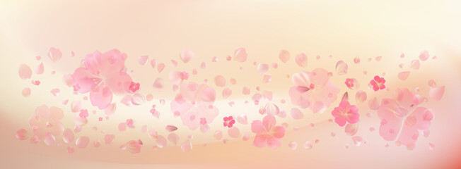 Delicate light pink sakura flowers flow. Wind swirls