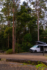 Camping ground in forest setting