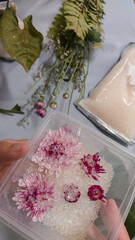 Pink chrysanthemums with silica gel in a container showing the process of making DIY dried flowers...