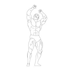 A bodybuilder man in line art