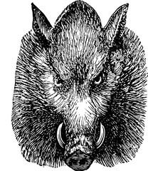 Vintage Farm Animals clipart, farmyard animal Illustrations, clipart for farmers, farm line drawings