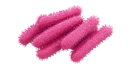 pink bacteria 3d render icon on white background