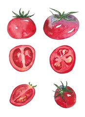 A set of different tomatoes: a circle, a slice, and a whole tomato. Watercolor illustrations on a white background.