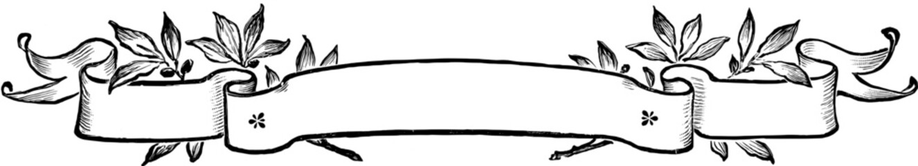 Vintage Banners and Ribbons, Floral Illustrations, vintage design, antique art