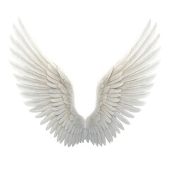 Beautiful white angel wings isolated on transparent background
