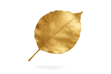 Naklejka premium Single golden leaf isolated on a transparent background, perfect for design