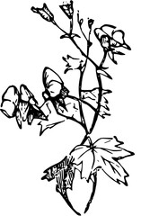 Rustic Flower Clipart – Vintage Botanical