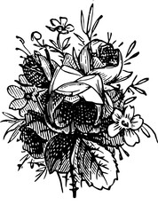 Rustic Flower Clipart – Vintage Botanical