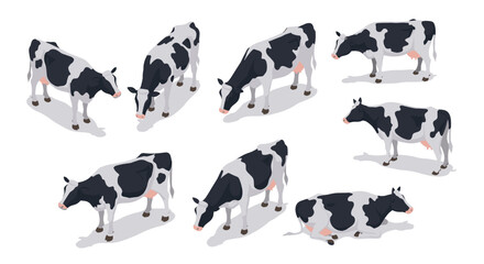 Isometric vector illustration of holstein cows in various poses for agricultural design