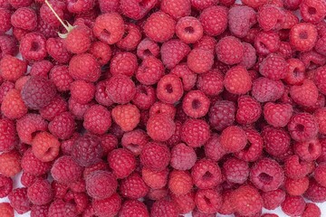 Top view of red raspberries with black currents. Natural mixed berries background.