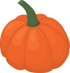 Bright pumpkin isolated on white background. Illustration of cute autumn vegetable for Halloween or Thanksgiving