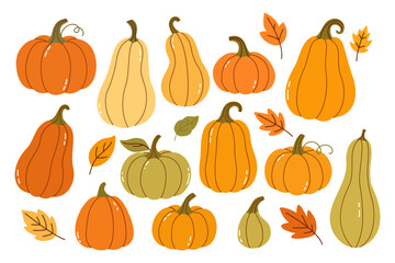 Cute Fall Pumpkin and Gourd Set in Orange, Yellow and Green Tones — Flat Vector Illustration for Thanksgiving Cards, Autumn Patterns, and Seasonal Festive Designs