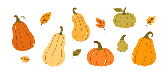 Autumn Pumpkin Set with Colorful Gourds and Falling Leaves — Hand Drawn Thanksgiving Harvest Elements in Flat Style on White Background for Fall Decoration and Seasonal Design Projects