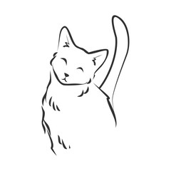 Serene Cat Illustration Minimalist Line Art Design