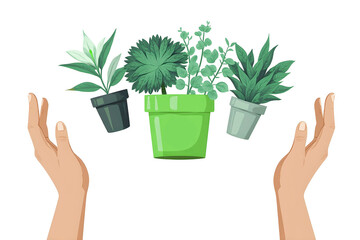 Two caring hands cradle three vibrant potted plants, symbolizing growth, nurturing, and environmental protection, perfect for themes of gardening, sustainability, or nature