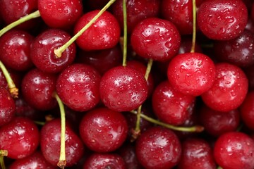 Many wet ripe cherries as background, closeup