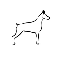 Elegant Minimalist Doberman Pinscher Line Art Illustration