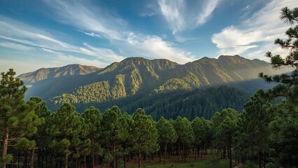 Majestic green mountains covered with dense pine forests stretching across the landscape, evoking a sense of natural beauty, tranquility, wilderness, and the timeless power of untouched alpine scenery