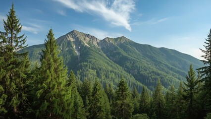 Majestic green mountains covered with dense pine forests stretching across the landscape, evoking a sense of natural beauty, tranquility, wilderness, and the timeless power of untouched alpine scenery